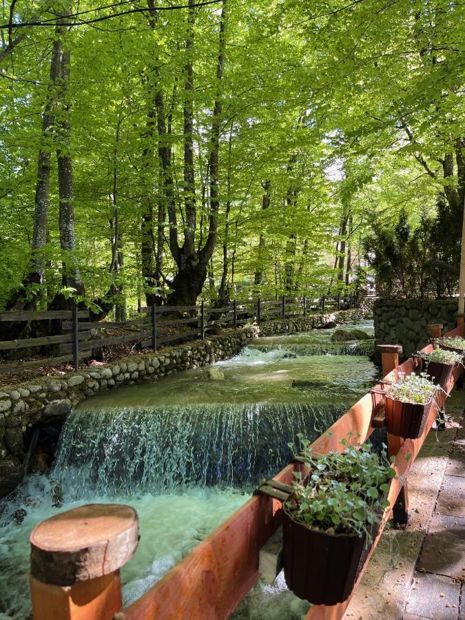 De La Villa Brezovice Esterno foto